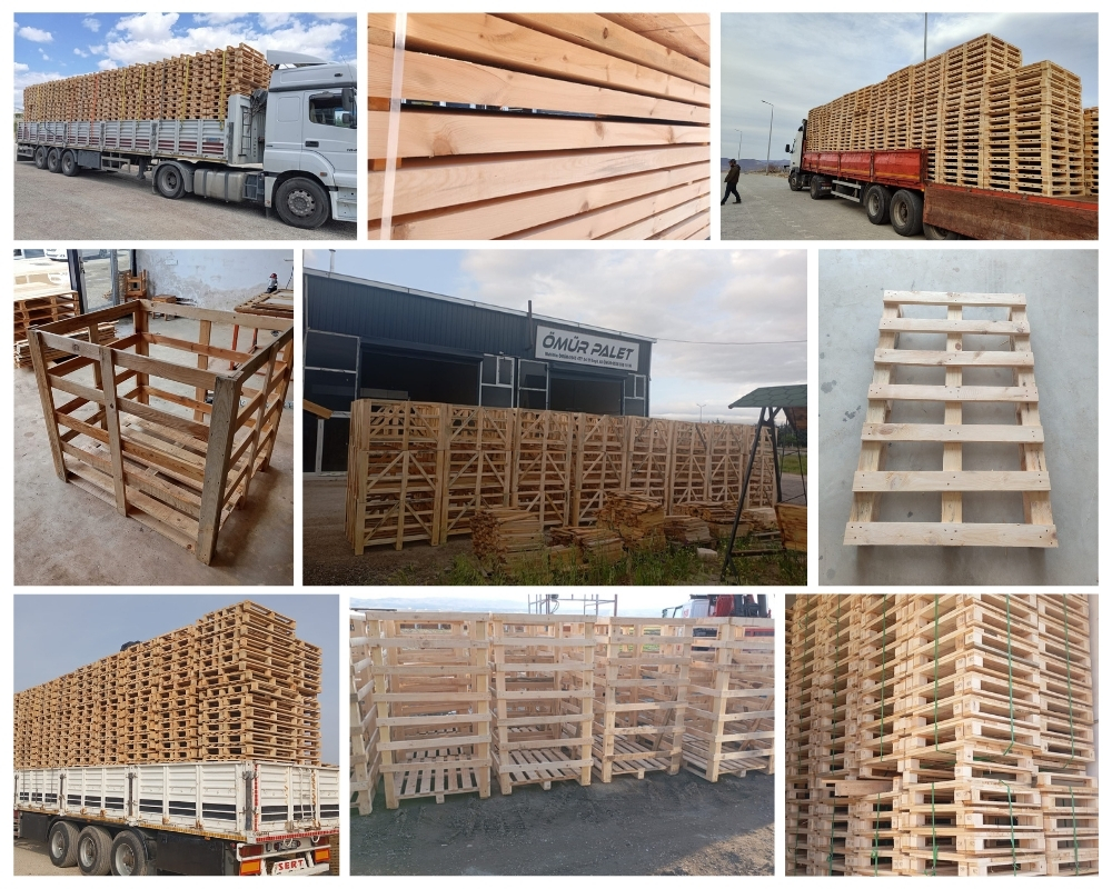 Spadafora Palette Europe, Acheter des palettes en gros